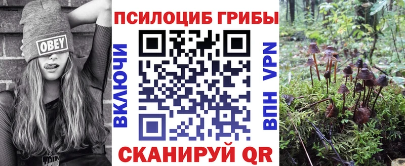 Псилоцибиновые грибы прущие грибы  Купить  Балтийск 